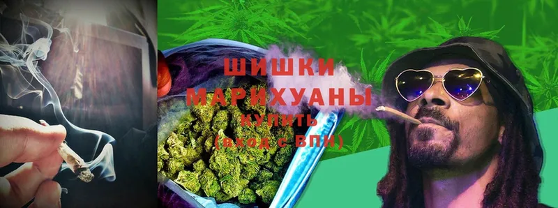 Конопля THC 21%  Карачаевск 